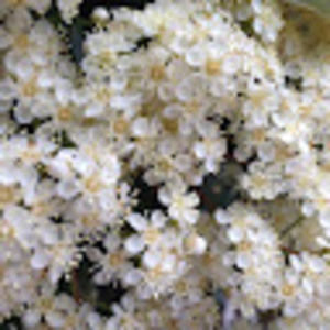 Meet your Posher, Caitlyn